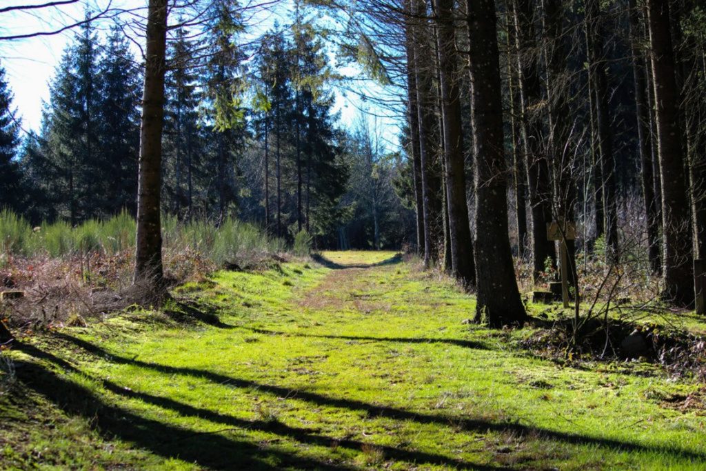 Site officiel de la commune de Montsalvy dans le Cantal
